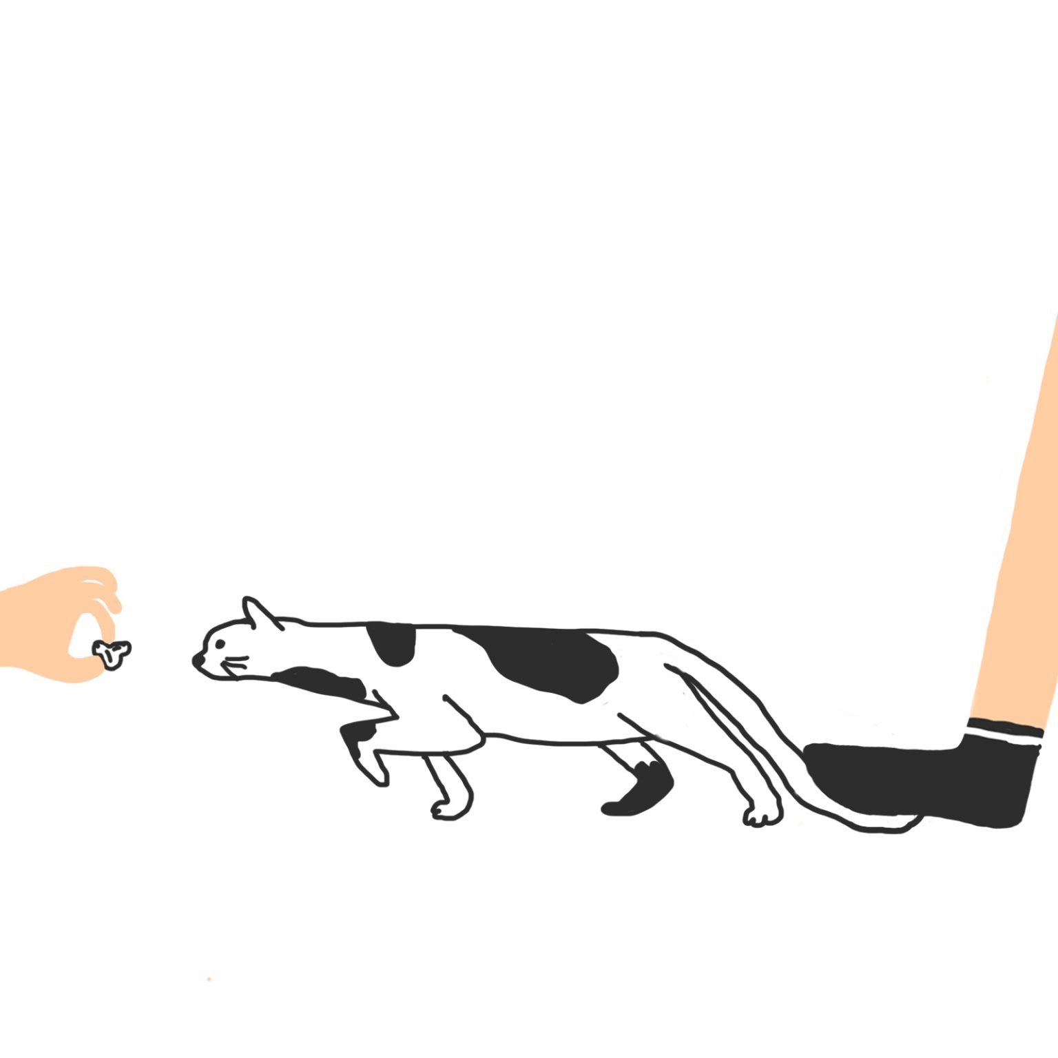 Ведение переговоров: виды и этапы - советы по проведению эффективных ...