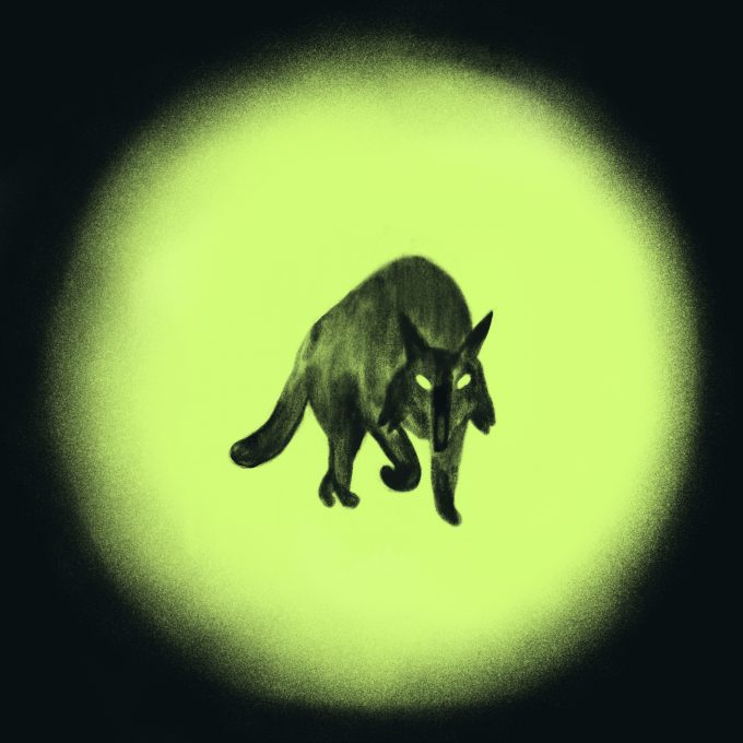 Первое качество лидера: внимание — Кинжал