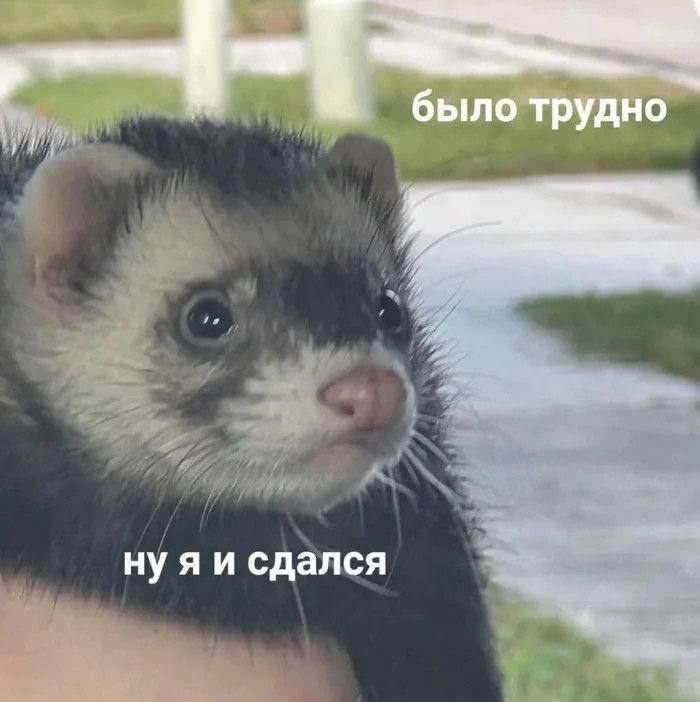 По лезвию: мемы недели 4 По лезвию: мемы недели 3