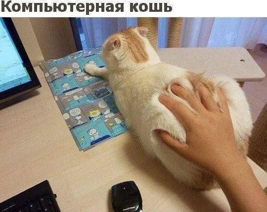 По лезвию: мемы недели 6 По лезвию: мемы недели 5