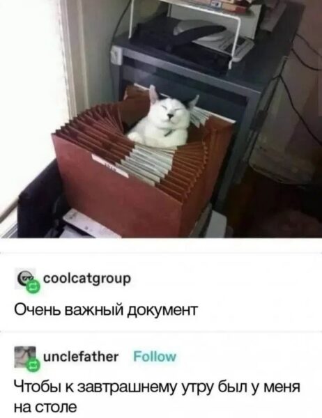 По лезвию: мемы недели 12 По лезвию: мемы недели 11