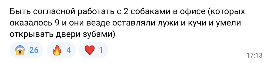 Не болеть и работать только с ИИ: 17 странностей из вакансий 9 Соискательница рассказывает о работе в офисе с девятью собаками.