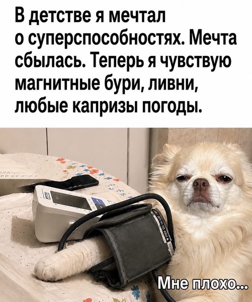 По лезвию: мемы недели 10 По лезвию: мемы недели 9