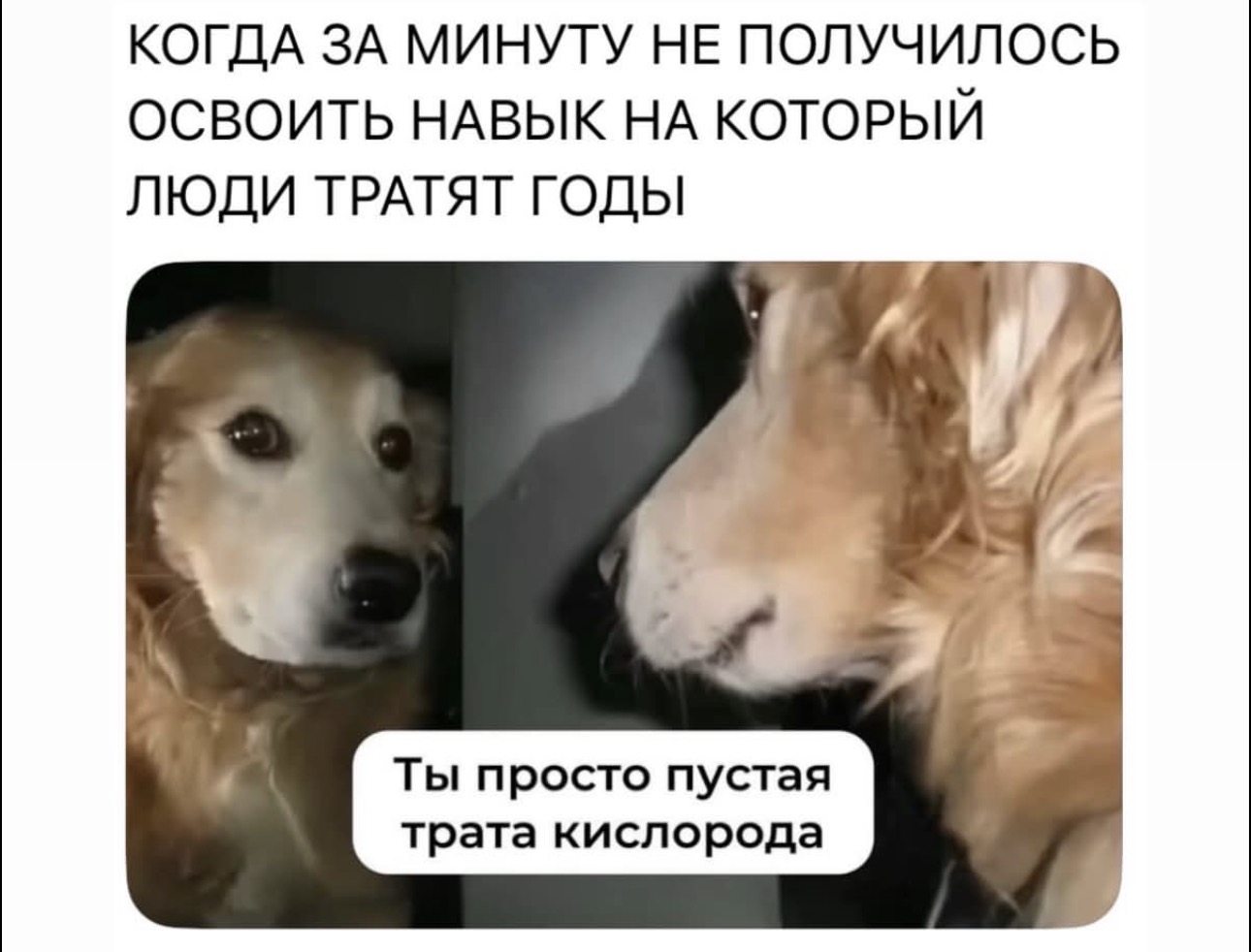 По лезвию: мемы недели 6 По лезвию: мемы недели 5