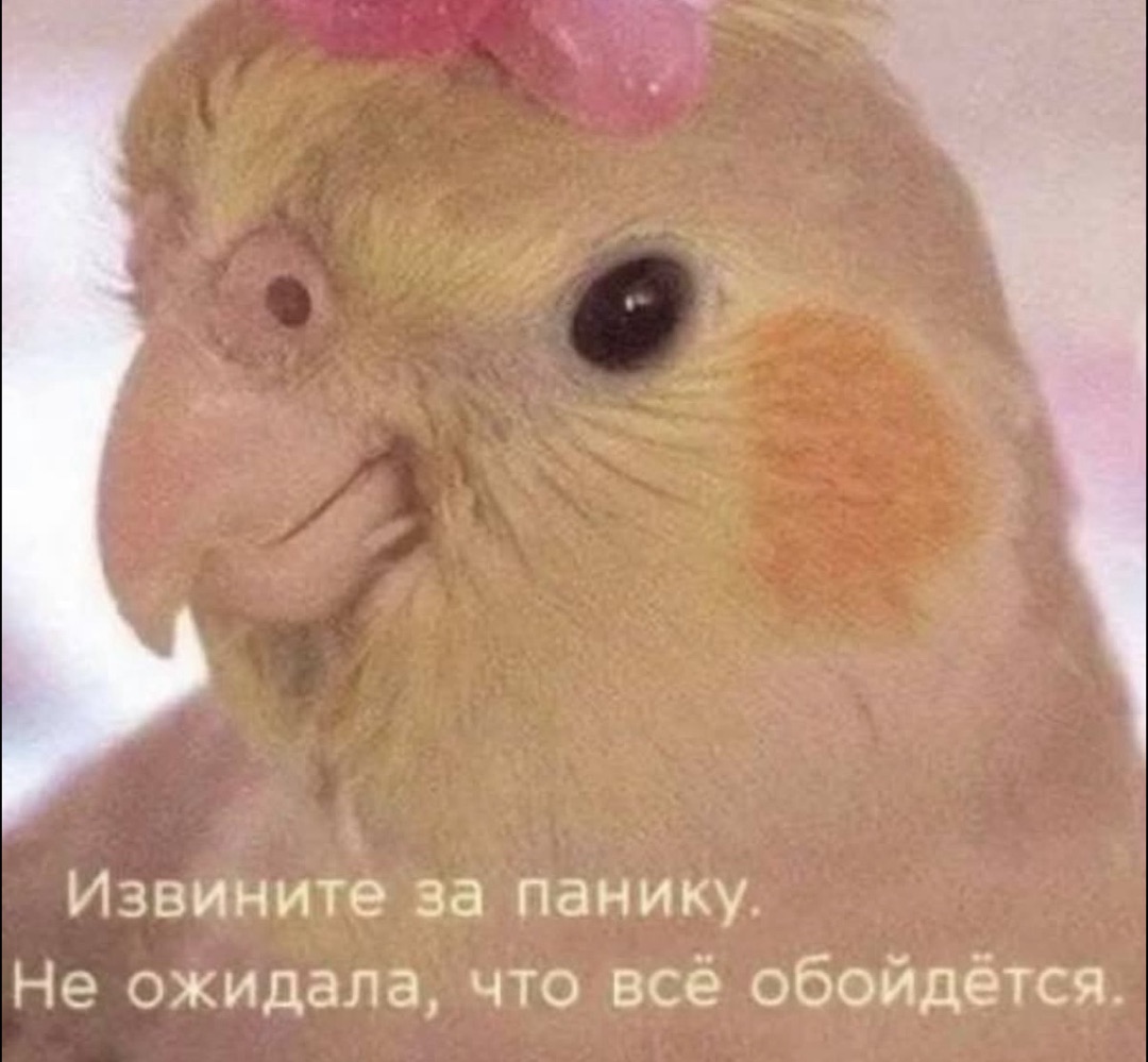 По лезвию: мемы недели 18 По лезвию: мемы недели 17