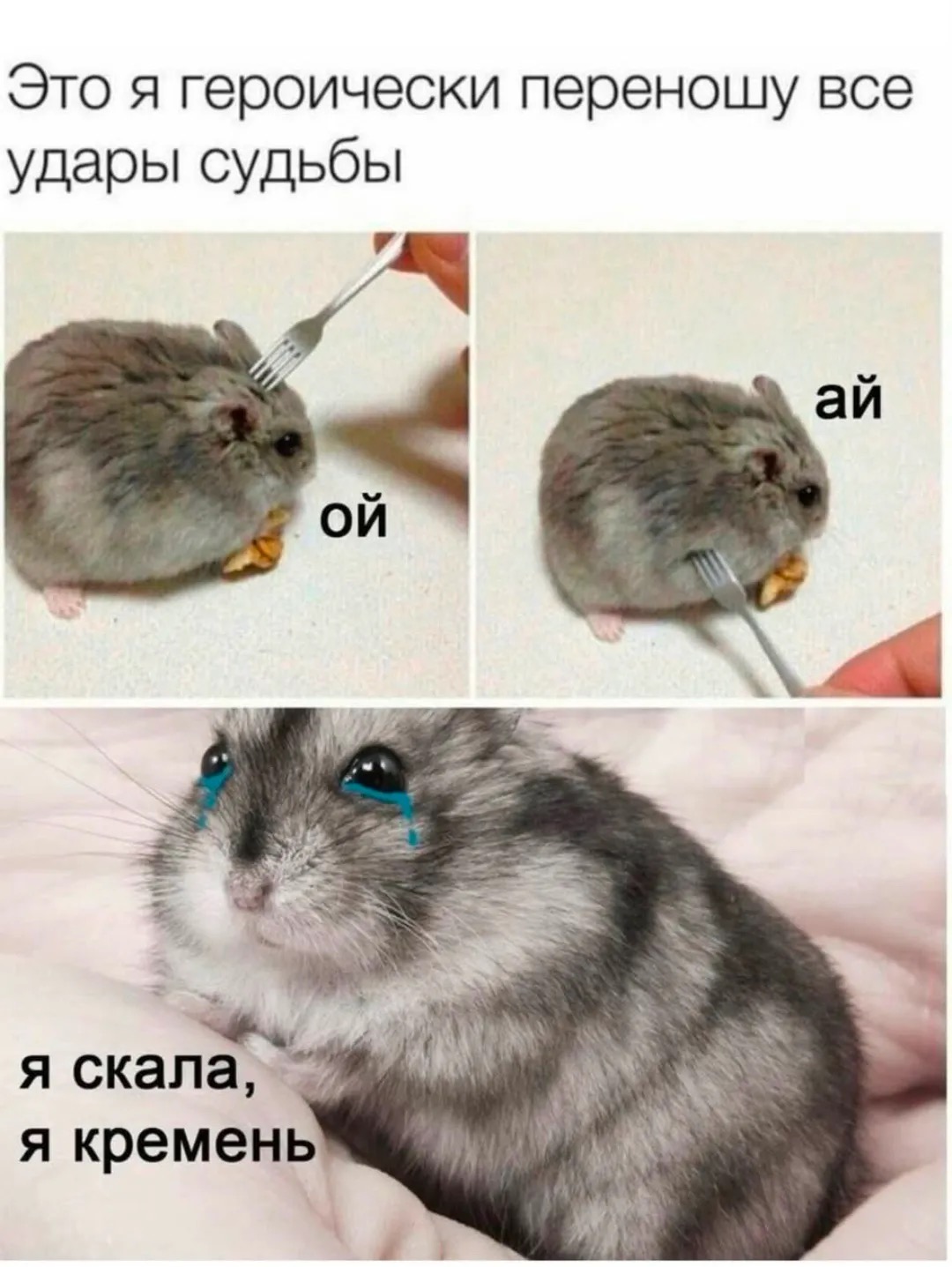 По лезвию: мемы недели 24 По лезвию: мемы недели 23