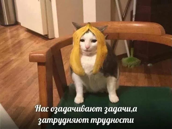 По лезвию: мемы недели 16 По лезвию: мемы недели 15