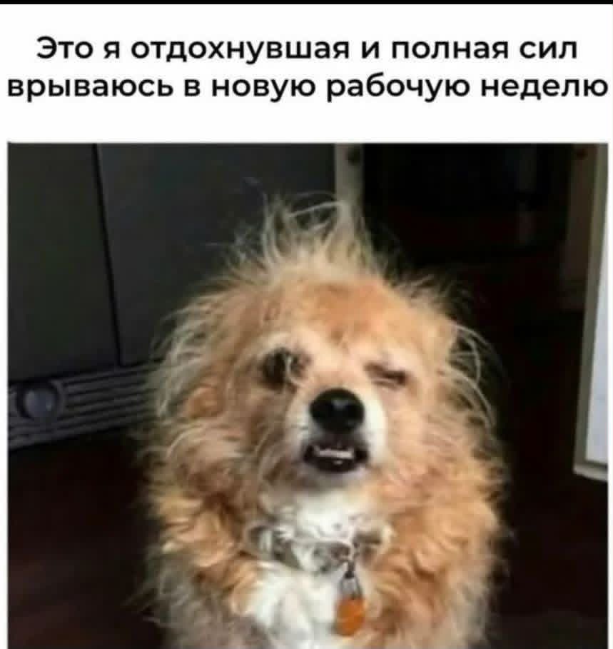 По лезвию: мемы недели 13