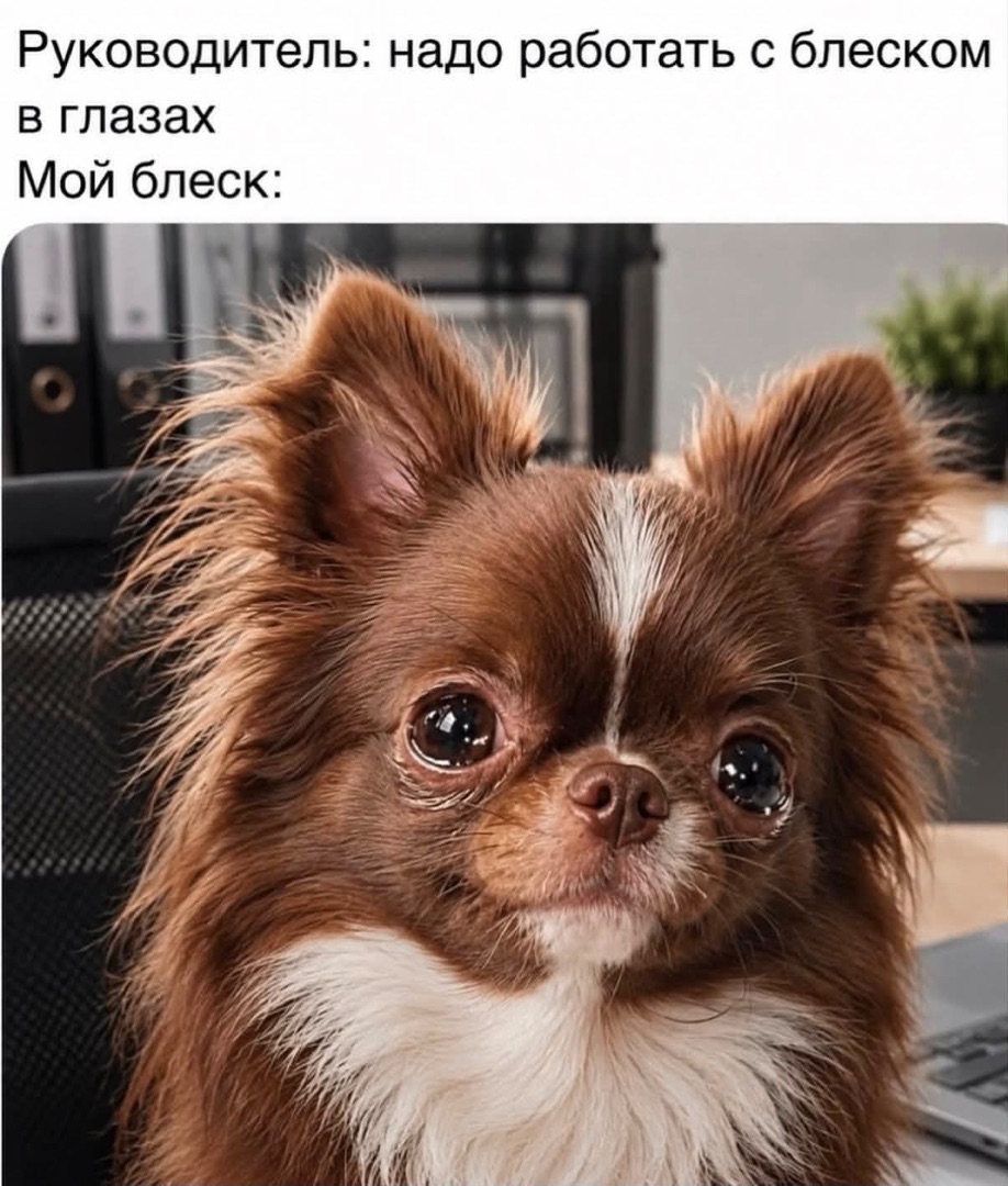 По лезвию: мемы недели 17