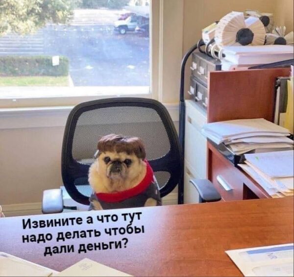 По лезвию: мемы недели 9