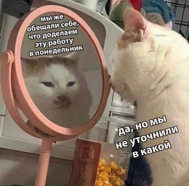 По лезвию: мемы недели 25
